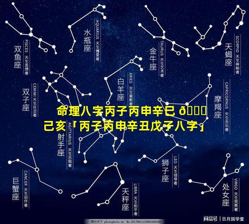 命理八字丙子丙申辛巳 🐈 己亥「丙子丙申辛丑戊子八字」